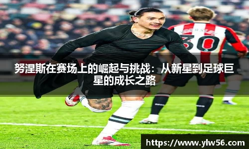 多宝电竞app