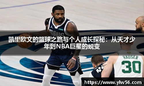 多宝电竞官方网站
