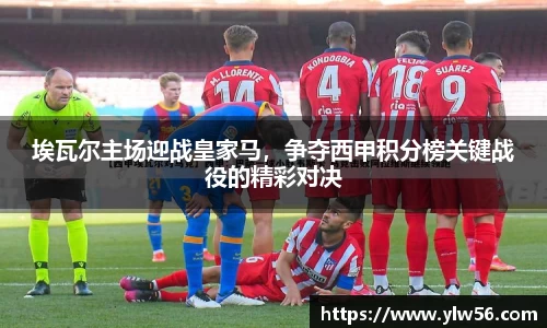 多宝电竞官方网站